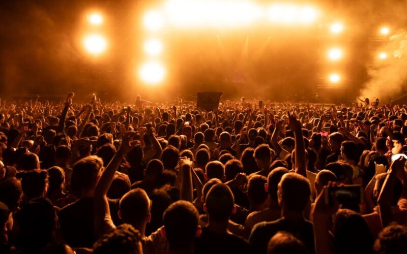back view crowd fans watching live performance music concert night