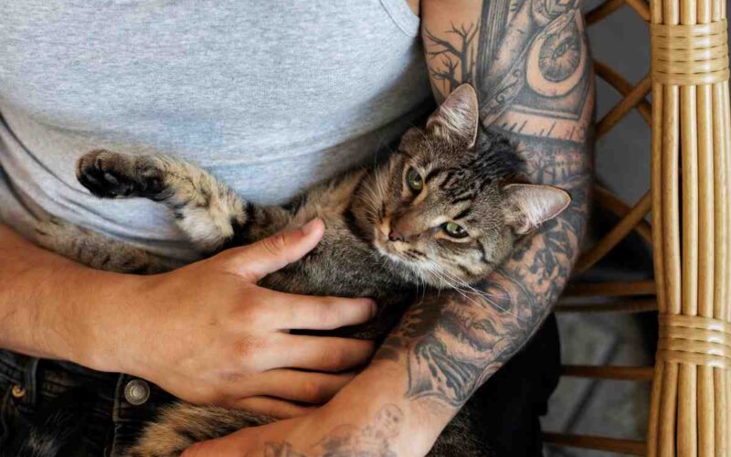 Howl’s Moving Castle Tattoo